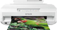 Epson Expression Photo XP-55 Impresora 