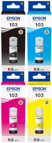 Epson T00S MCVP
