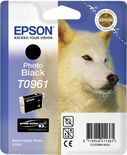 Epson Stylus Photo R2880 C13T09614010