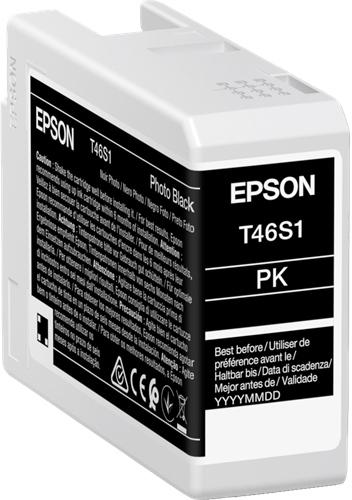Epson T46S1 Negro (foto) Cartucho de tinta