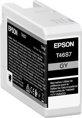 Epson T46S7 Gris Cartucho de tinta