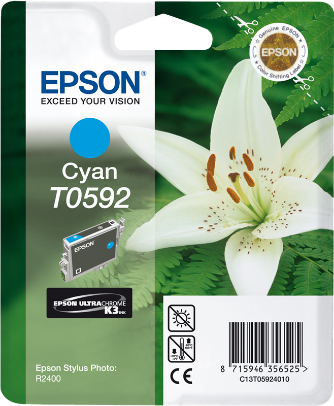 Epson Stylus Photo R2400 C13T05924010