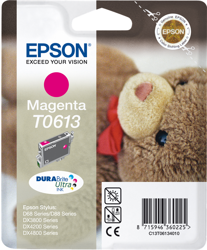 Epson C13T06134010