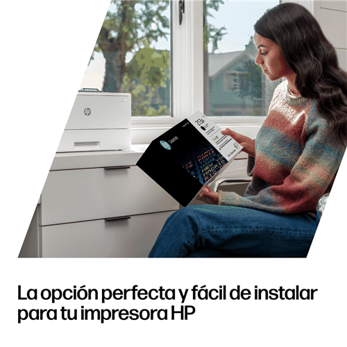 HP W2193X